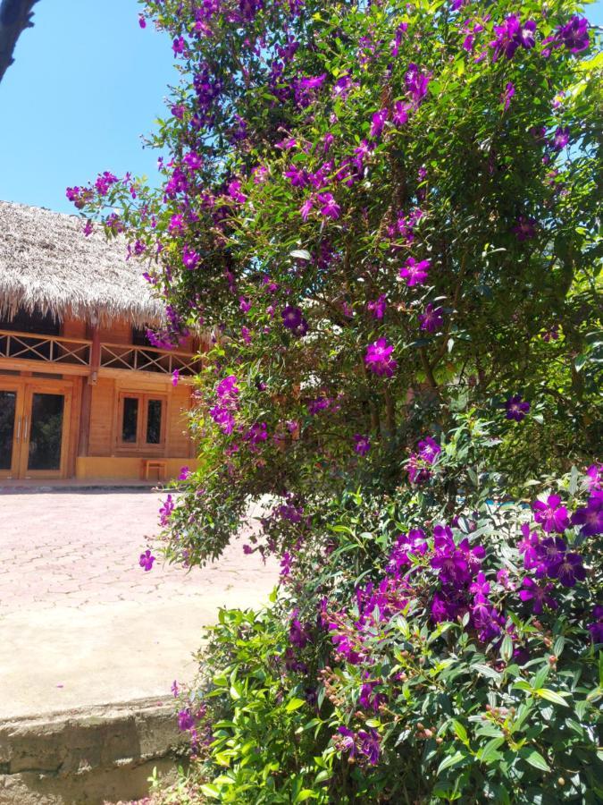 Flower Hmong Homestay Bac Hà Exterior foto