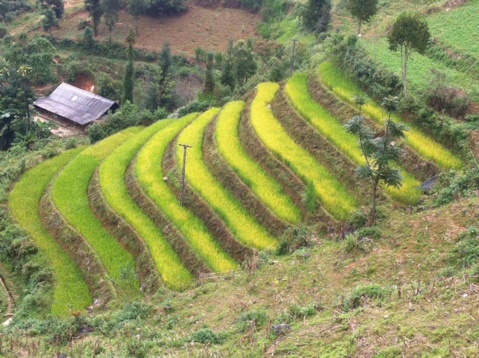 Flower Hmong Homestay Bac Hà Exterior foto