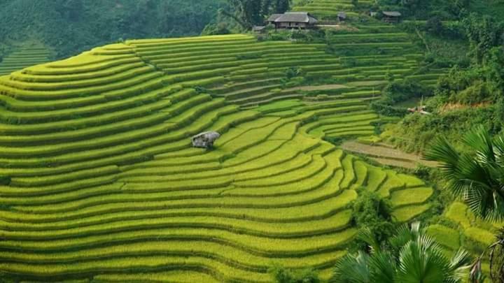 Flower Hmong Homestay Bac Hà Exterior foto